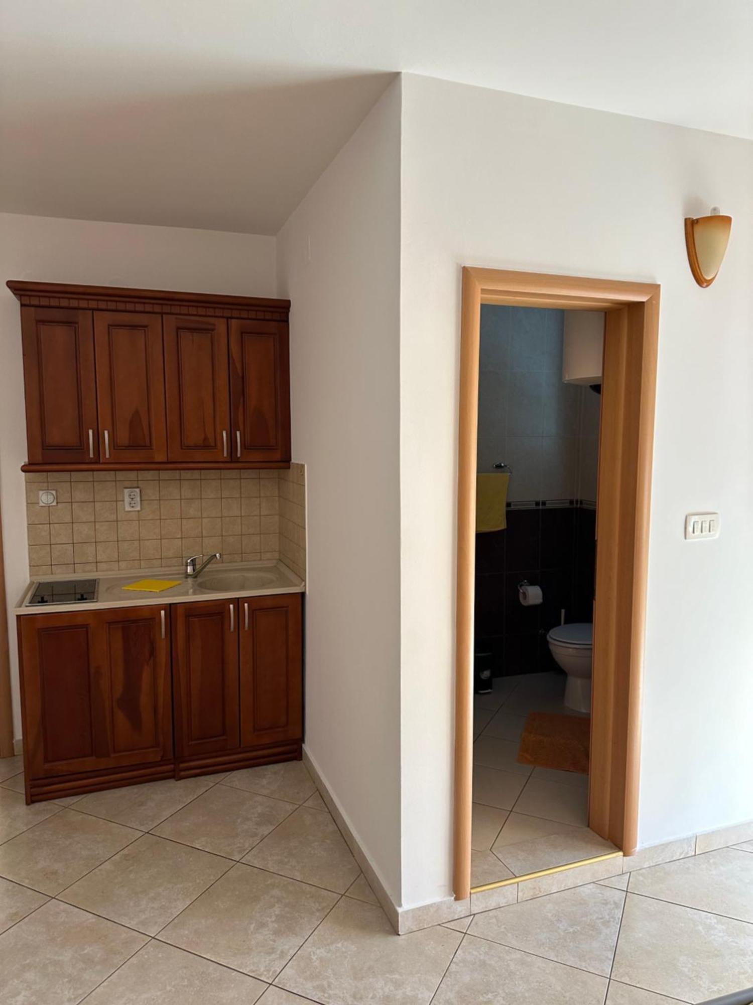Aleks Apartment Budva